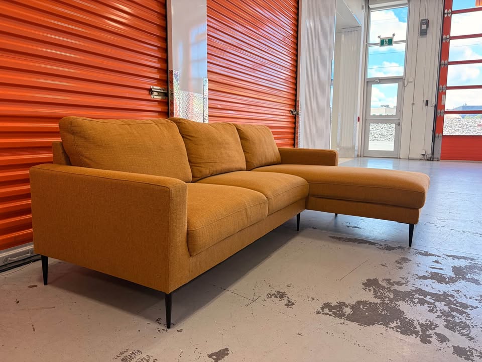 Bright and Modern Sectional